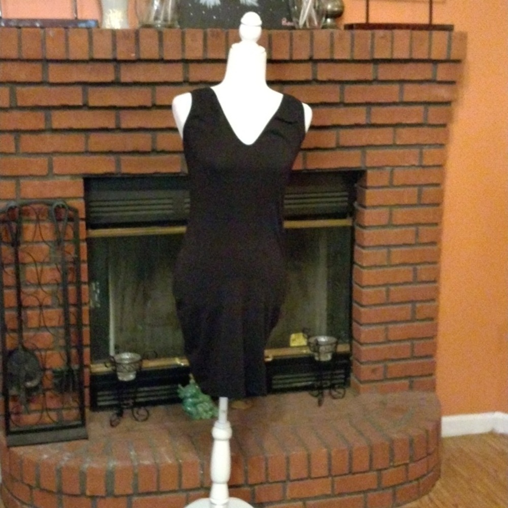Black Wild Fable dress